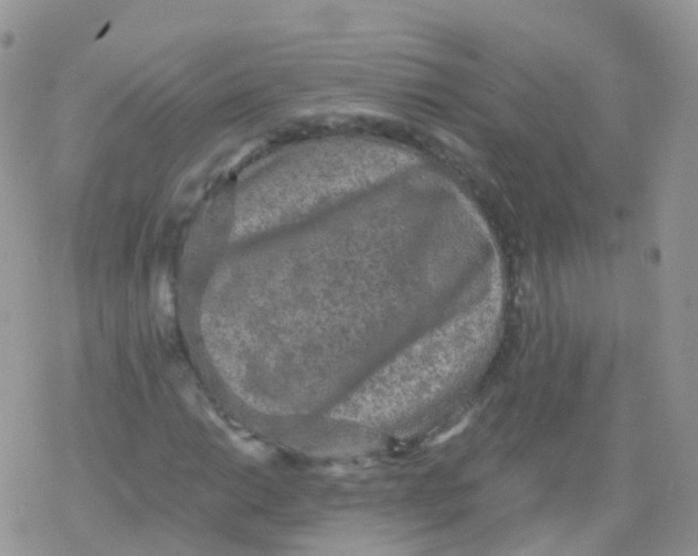 X0000078301014200611251503