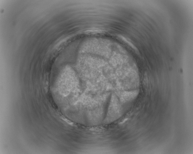 X0000078301015200611251503