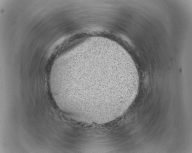 X0000078301016200611251503