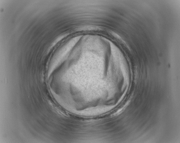 X0000078301017200611251503