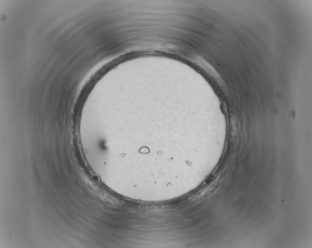 X0000078301020200611251503