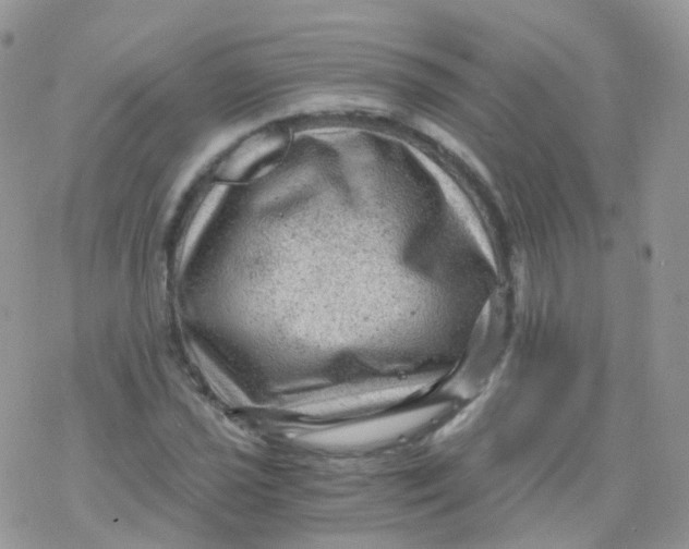 X0000078301021200611251503