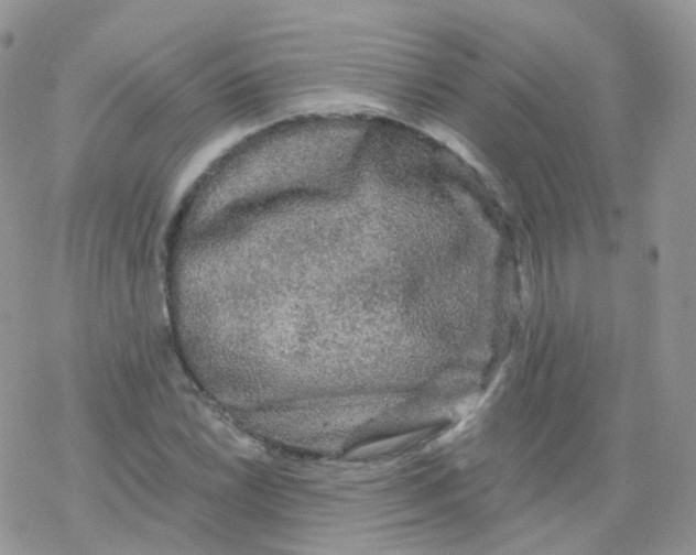 X0000078301022200611251503