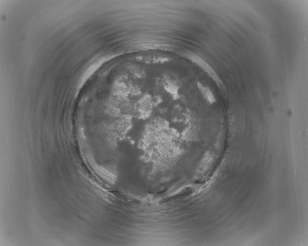 X0000078301023200611251503