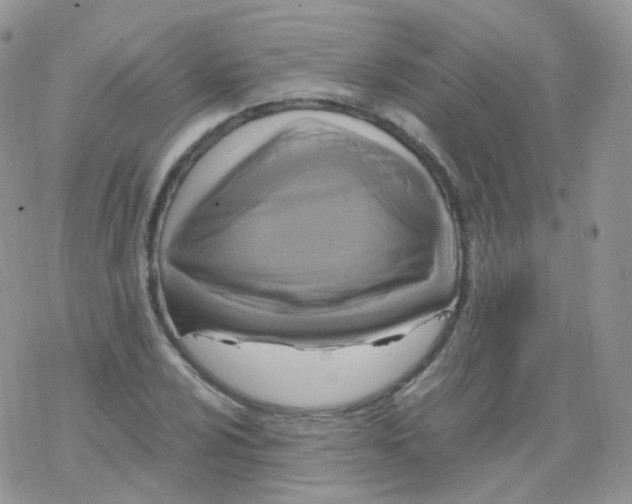 X0000078301024200611251503