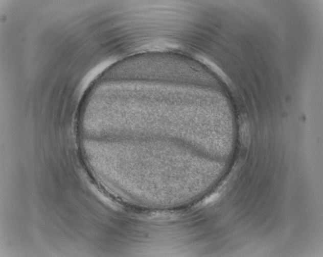 X0000078301026200611251503