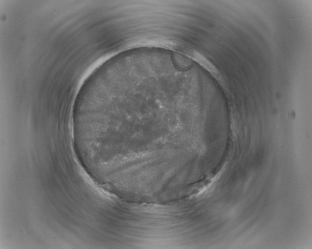 X0000078301028200611251503