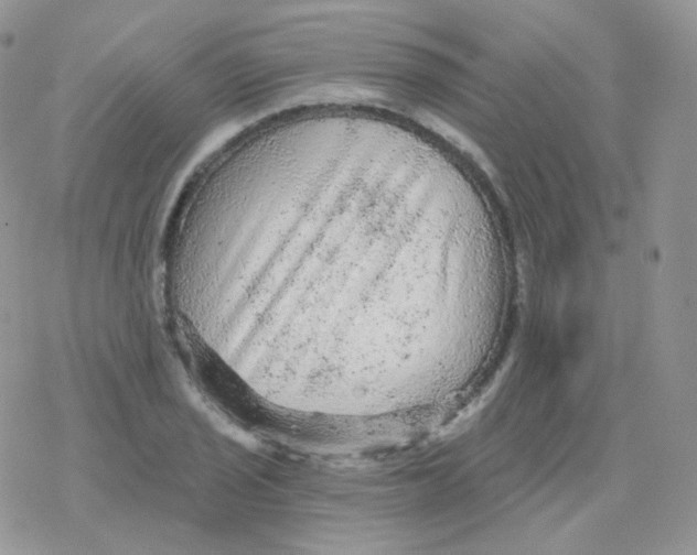 X0000078301029200611251503