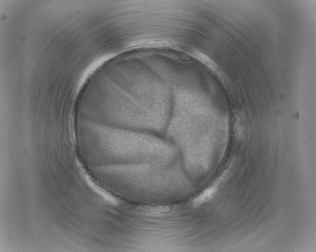 X0000078301030200611251503