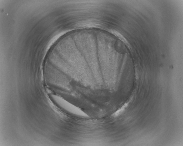 X0000078301031200611251503