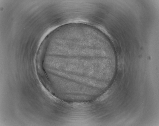 X0000078301032200611251503