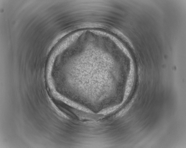 X0000078301033200611251503