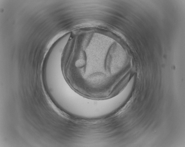 X0000078301034200611251503