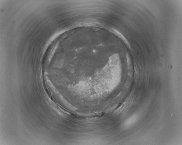 X0000078301035200611251503