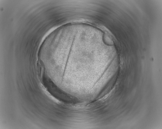 X0000078301036200611251503