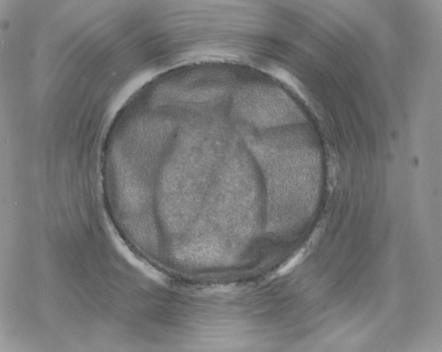 X0000078301038200611251503