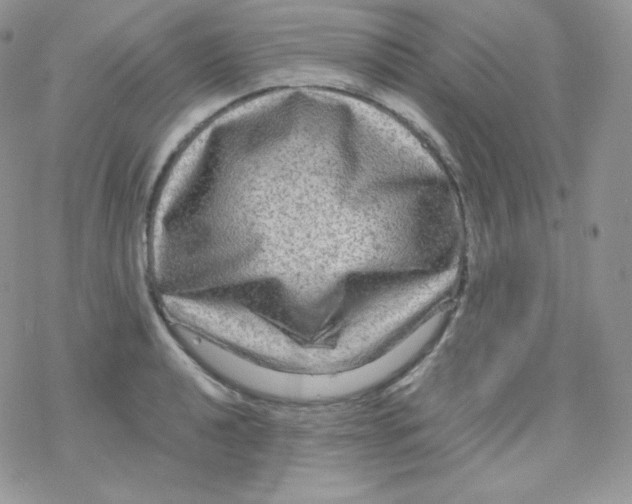 X0000078301040200611251503