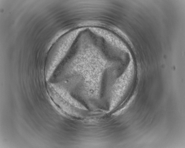 X0000078301041200611251503