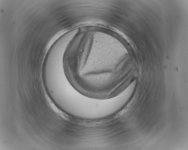 X0000078301042200611251503