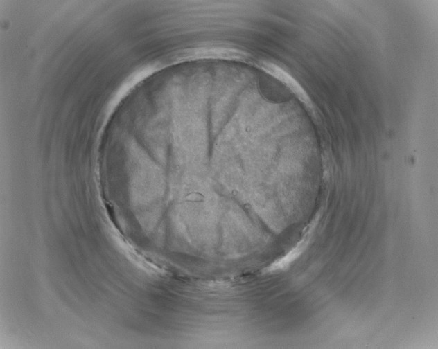 X0000078301043200611251503