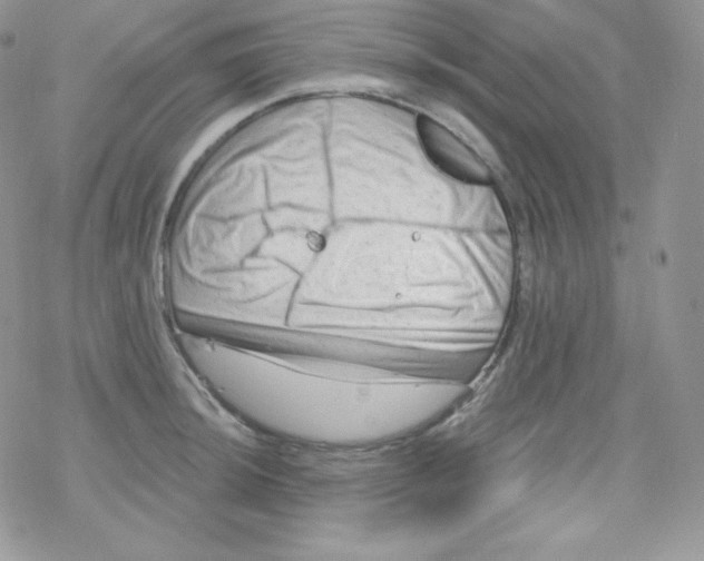 X0000078301044200611251503