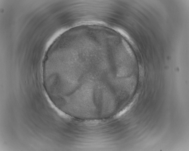 X0000078301046200611251503