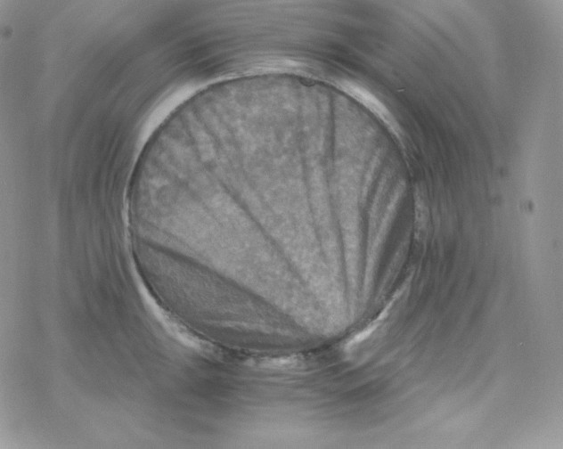 X0000078301047200611251503