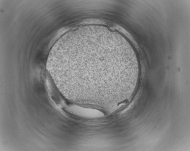 X0000078301049200611251504