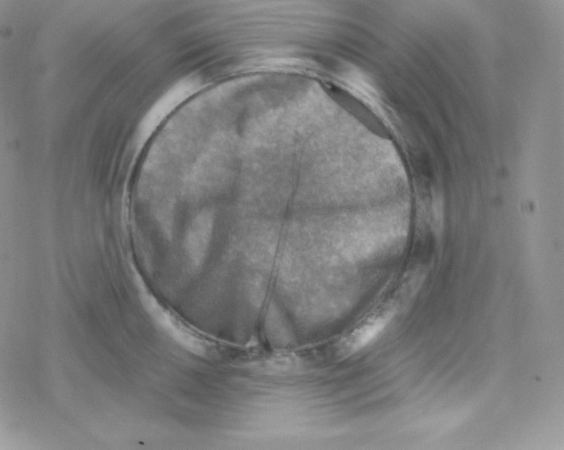 X0000078301050200611251504