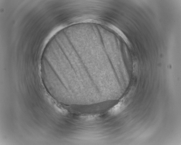 X0000078301051200611251504