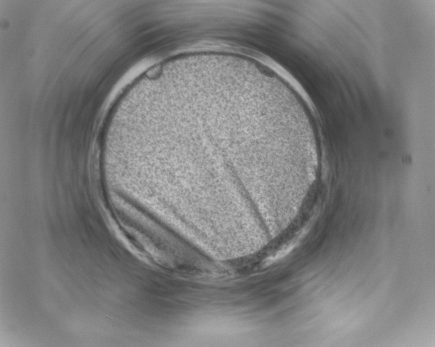 X0000078301053200611251504