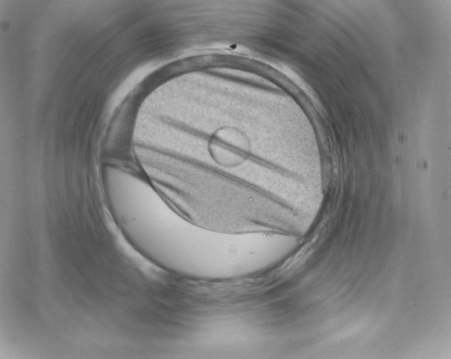 X0000078301054200611251504