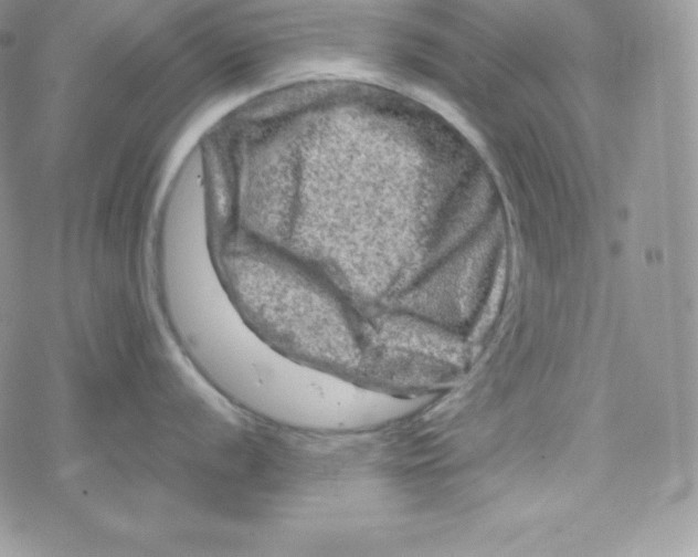 X0000078301056200611251504