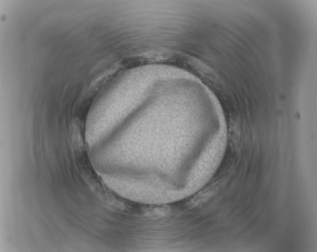 X0000078301058200611251503