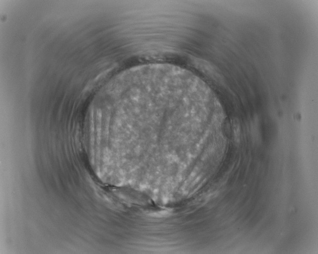 X0000078301060200611251503