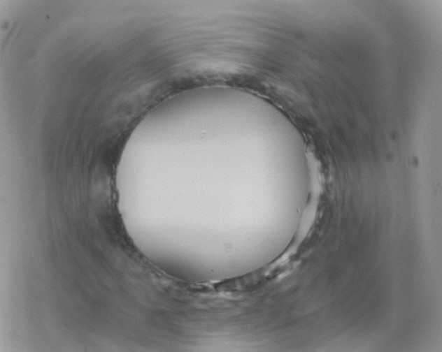 X0000078301061200611251503