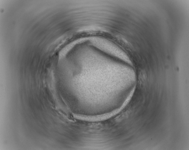 X0000078301062200611251503