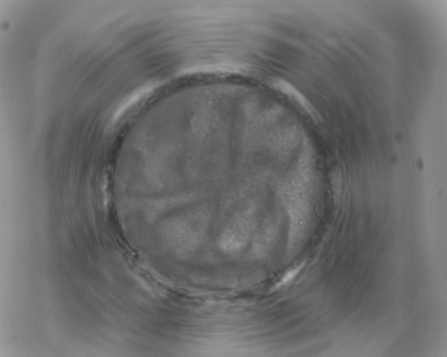 X0000078301064200611251503