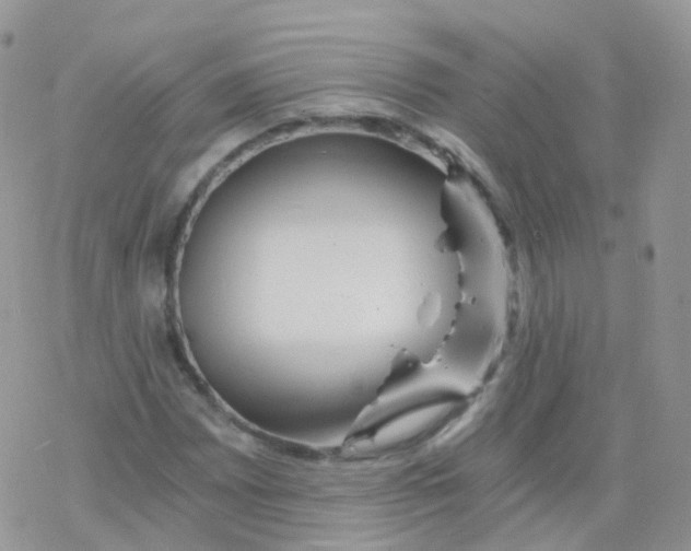 X0000078301065200611251503