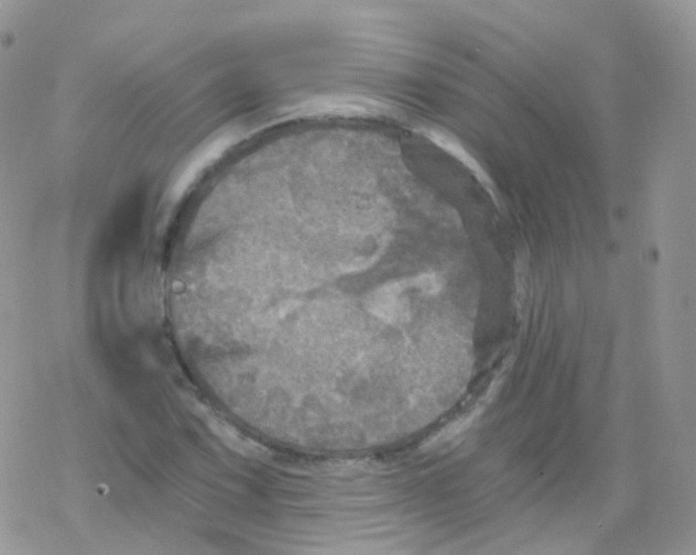 X0000078301067200611251503