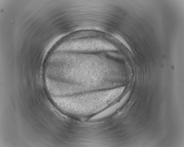 X0000078301068200611251503