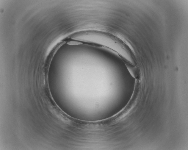 X0000078301069200611251503