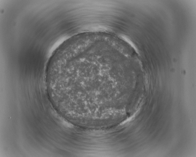 X0000078301071200611251503