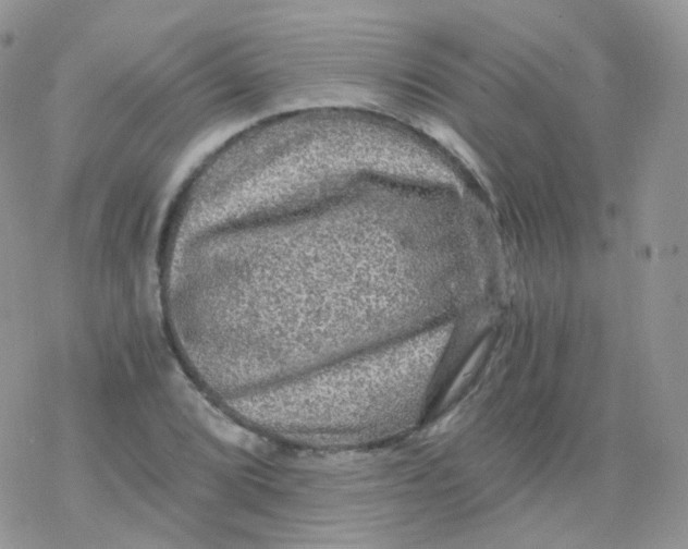 X0000078301072200611251503