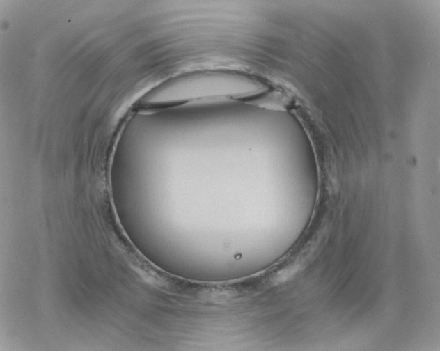 X0000078301073200611251503