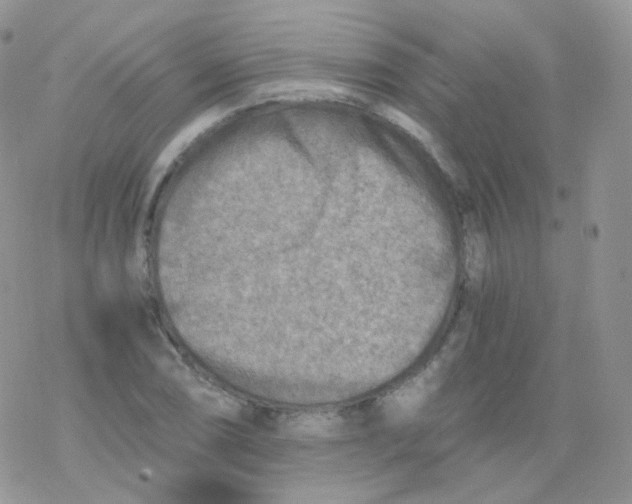 X0000078301074200611251503