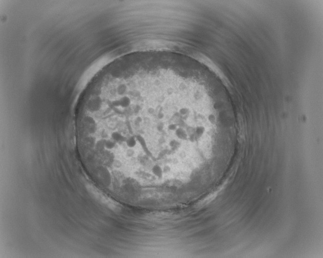 X0000078301075200611251503