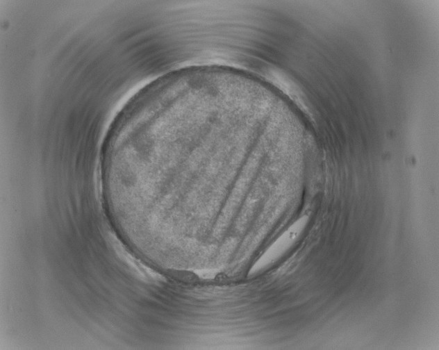 X0000078301076200611251503