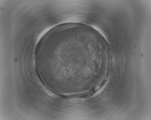 X0000078301077200611251503