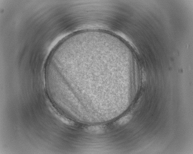 X0000078301078200611251502